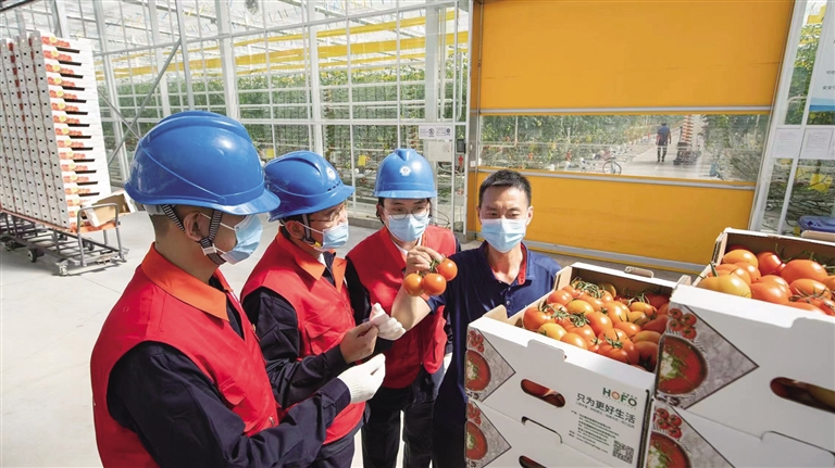 “电网绿”助力复工“开门红”