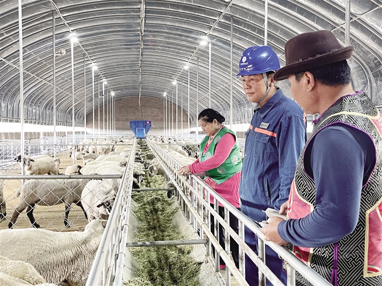 放心电
“畜”势勃发