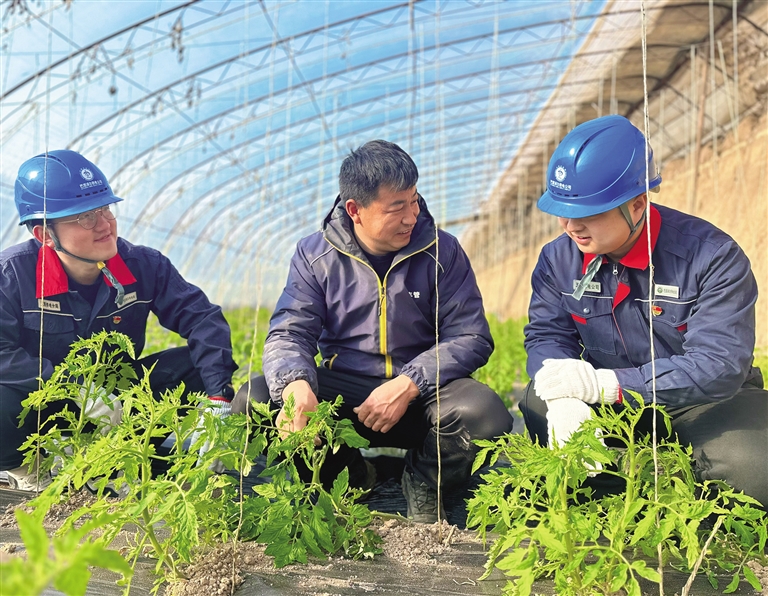 “满格电”优服务   “柿柿如意”助增收