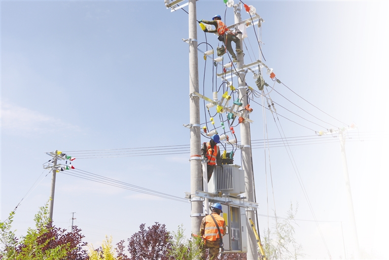 电力赋能羊产业发展