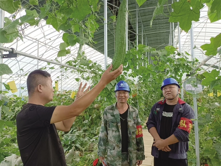 电力助攻   鱼菜共生叩开乡村致富门