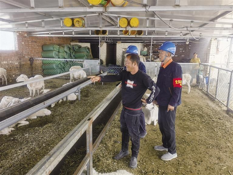 电力助推养殖户走上致富“快车道”