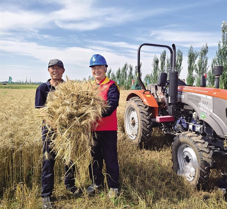 巴彦淖尔“电”守粮仓    丰景开镰
